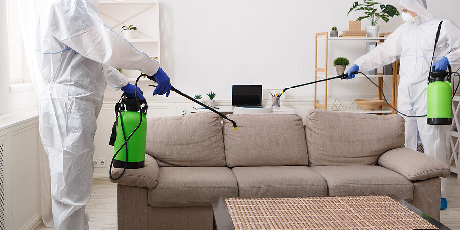 Cleaning service. Workers in protective suits disinfecting with chemicals your flat, copy space